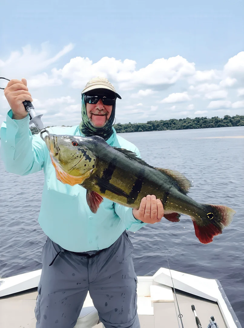 Peacock bass on the Amazon
